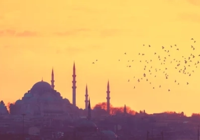 Research Assistance service image