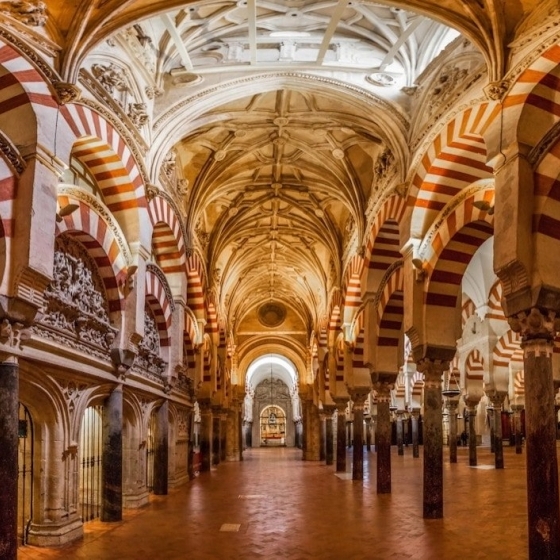 Welcome to The Muslim History